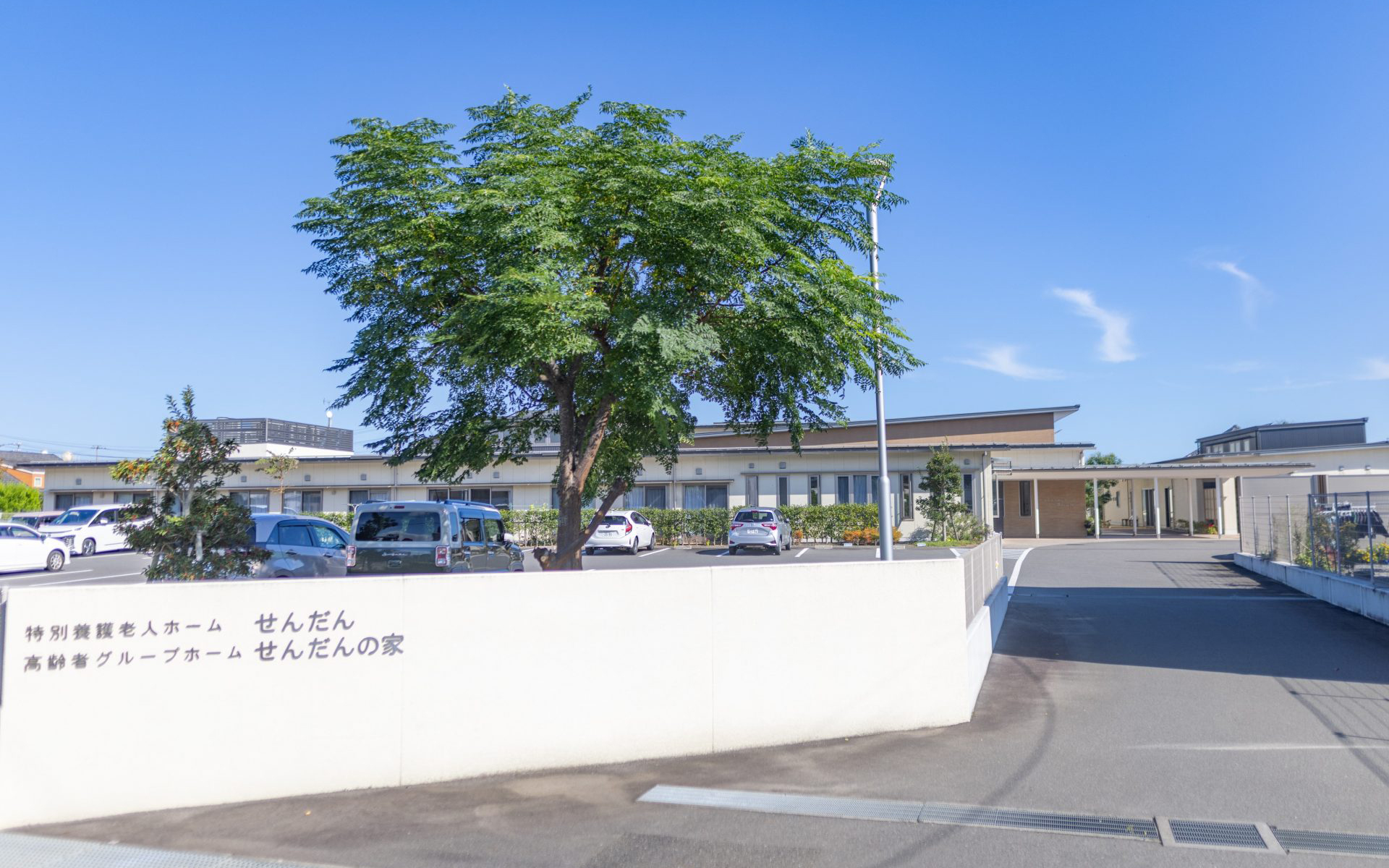 採用情報